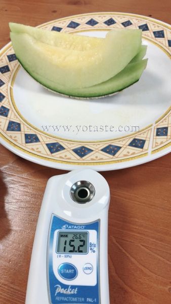 K-Melon，韓國原裝進口哈密瓜推薦，綠肉哈密瓜推薦