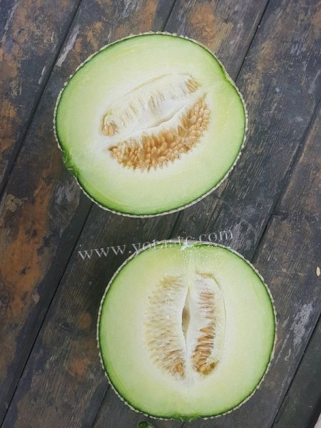 韓國K-Melon，韓國原裝進口，韓國原裝進口哈密瓜
